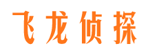 青阳市私家侦探